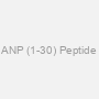ANP (1-30) Peptide